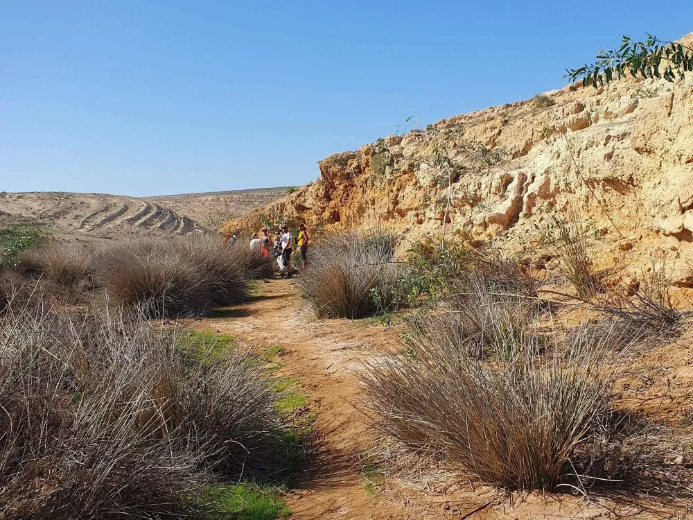 Les sejours detox et vitalite à Essaouira (17)webp