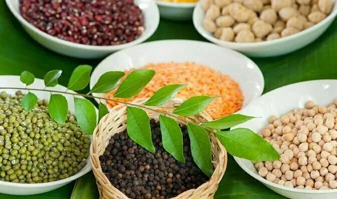 Une Cure Ayurvédique Authentique au Sri Lanka (2)webp