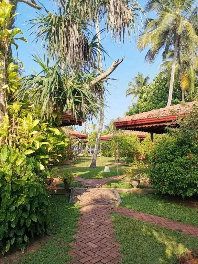 Une Cure Ayurvédique Authentique au Sri Lanka (7)webp