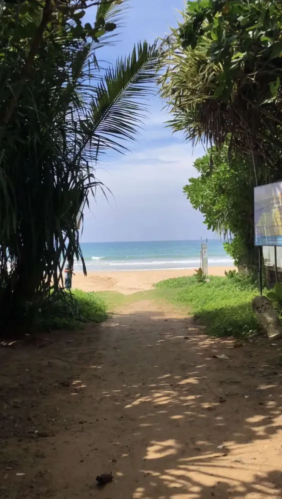 Une Cure Ayurvédique Authentique au Sri Lanka (13)webp