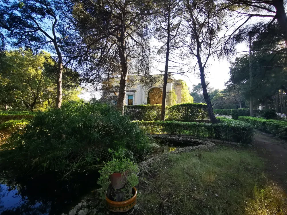 IMG-20260120-WA0010 (1)